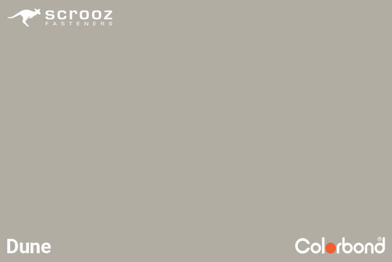 Dune 14g x 65mm Roof T17 Screw C5 CTN 1000