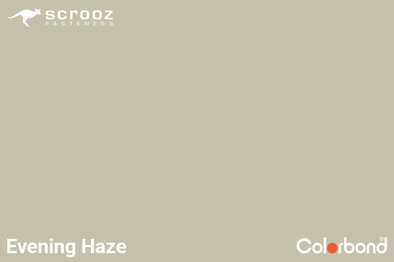 Evening Haze 6.2 x 50mm Uni Zip Roof Screws C5 CTN 1000