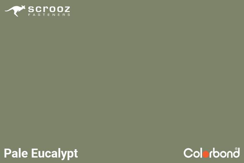 Pale Eucalypt 6.2 x 50 Uni Zip Roof Screws C5 CTN 3000