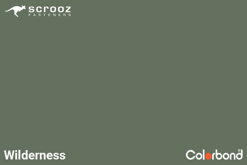 Wilderness 6.2 x 50mm Uni Zip Roof Screws C5 CTN 3000