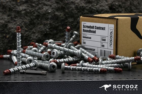 ScrewBolt Roundhead 10 x 100mm T50 Pack 5