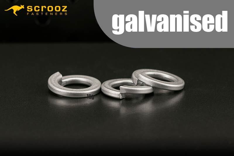 M20 spring washers galv box of 100