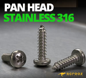 Self Tapping Screws Pan 316 Stainless