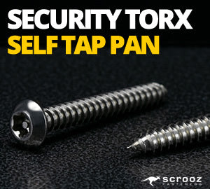 Security Self Tapping Screws Panhead
