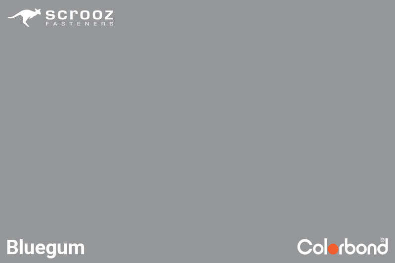 Bluegum 12g x 20mm Tek Screws Box 500