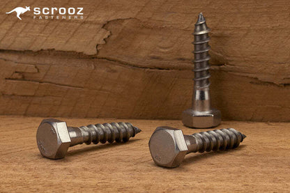 10mm x 50 mm Coach Screws 316 Stainless pack 5