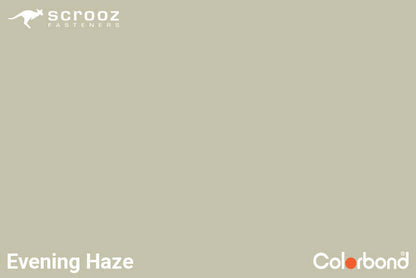 Evening Haze 12 x 20mm Roof Tek Screw C5 CTN 2000