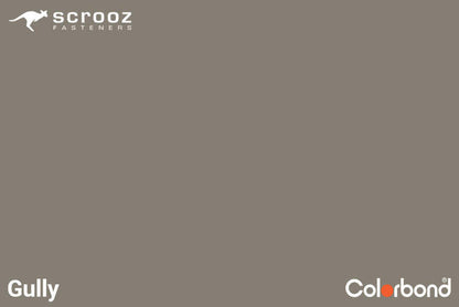 Gully 14 x 50 Cyclone Assy Wood CTN 1000