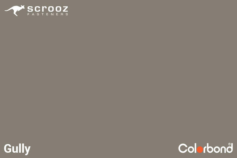 Gully 14 x 65 Cyclone Assy Wood CTN 1000