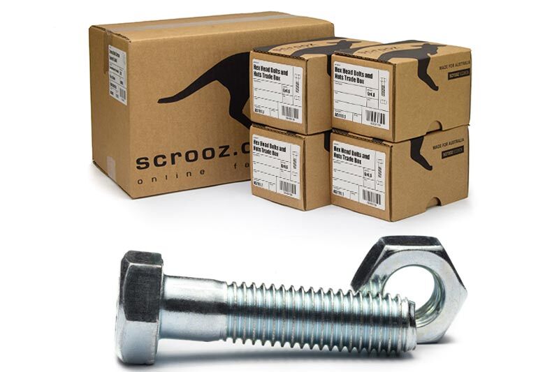 M6 x 100mm hex bolts & nuts bzp ctn 400
