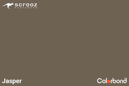 Jasper 14g x 65mm Roof T17 Screw C5 CTN 1000