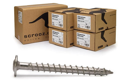 18g x 220 Landscaping Screws 304 Stainless T40 CTN 200