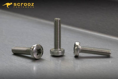 M4 x 30mm Machine screws Pan Head 316 CTN 500