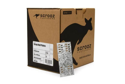 Strap Nail Plate HDG 50 x 100 Box 75