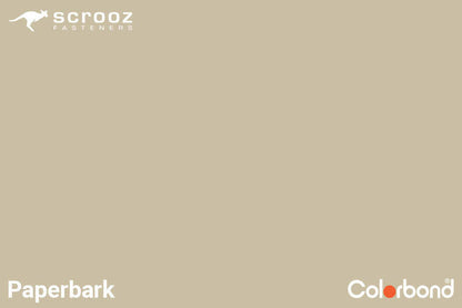 Paperbark 12g x 65mm Roof T17 Screw C5 CTN 1000