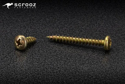 7g x 30mm Panhead Needle Point Screws Pack 100