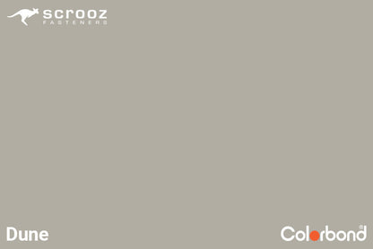 Dune 6.2 x 50mm Uni Zip Roof Screws C5 CTN 3000