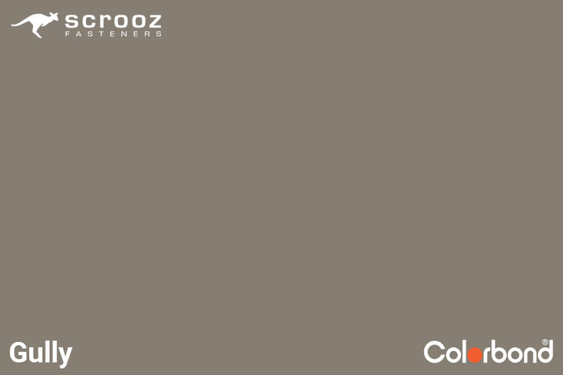 Gully 6.2 x 50mm Uni Zip Roof Screws C5 Box 500