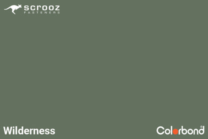 Wilderness 6.2 x 50mm Uni Zip Roof Screws C5 Box 500