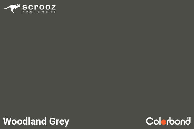 Woodland Grey Rivets #43 Carton 8000