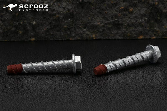 Screw Bolts Contractor Gal 6 x 50mm pack 10