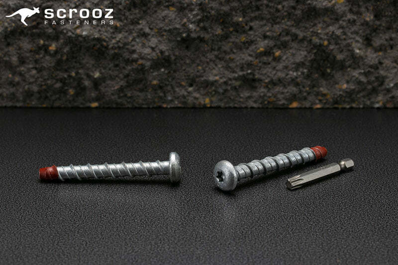 ScrewBolt Roundhead 6 x 75mm T30 CTN 200