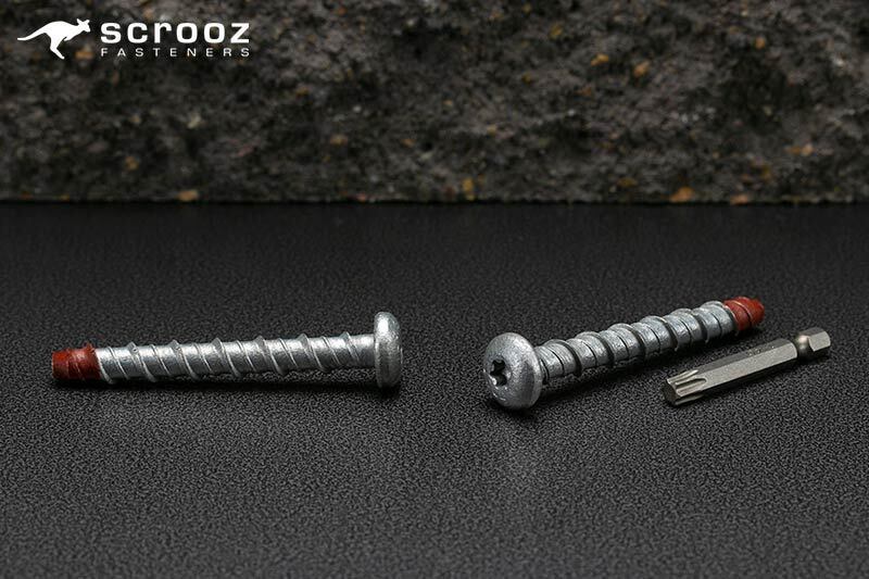 ScrewBolt Roundhead 6 x 100mm T30 Pack 10