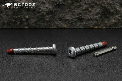 ScrewBolt Roundhead 8 x 60mm T40 Pack 10