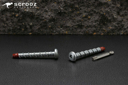 ScrewBolt Roundhead 8 x 100mm T40 CTN 100