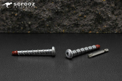 ScrewBolt Roundhead 8 x 100mm T40 CTN 100