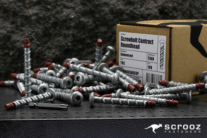 ScrewBolt Roundhead 8 x 100mm T40 CTN 100