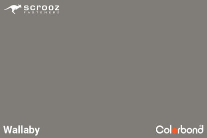 Wallaby 14 x 50 Cyclone Assy Wood CTN 1000