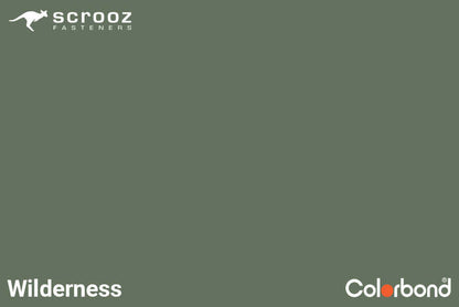 Wilderness 12g x 25mm Roof T17 Screw CTN 2000