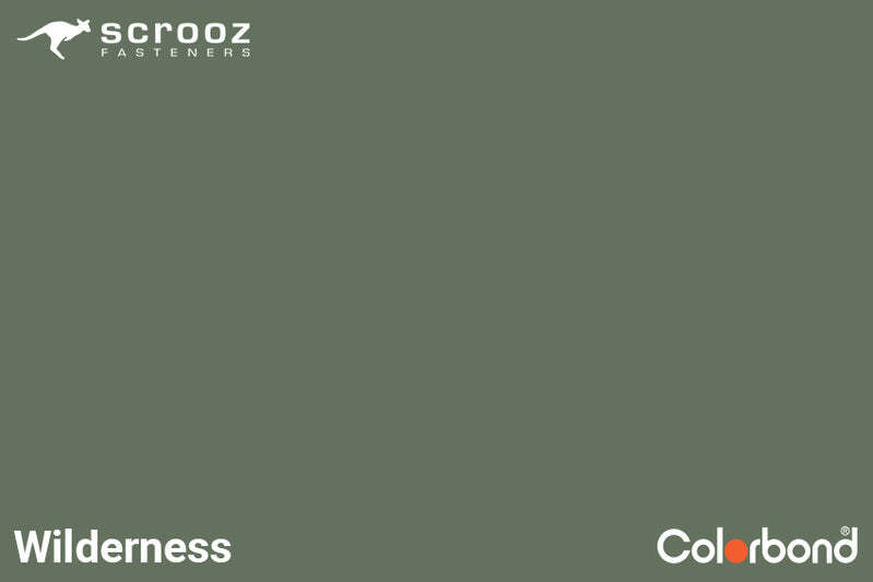 Wilderness 12g x 50mm Roof T17 Screw Box 250