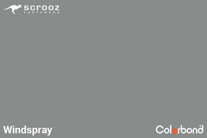 Windspray 14g x 65mm Cyclone Assy Wood CTN 1000