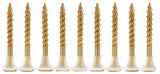 Collated Gold Wood Screws